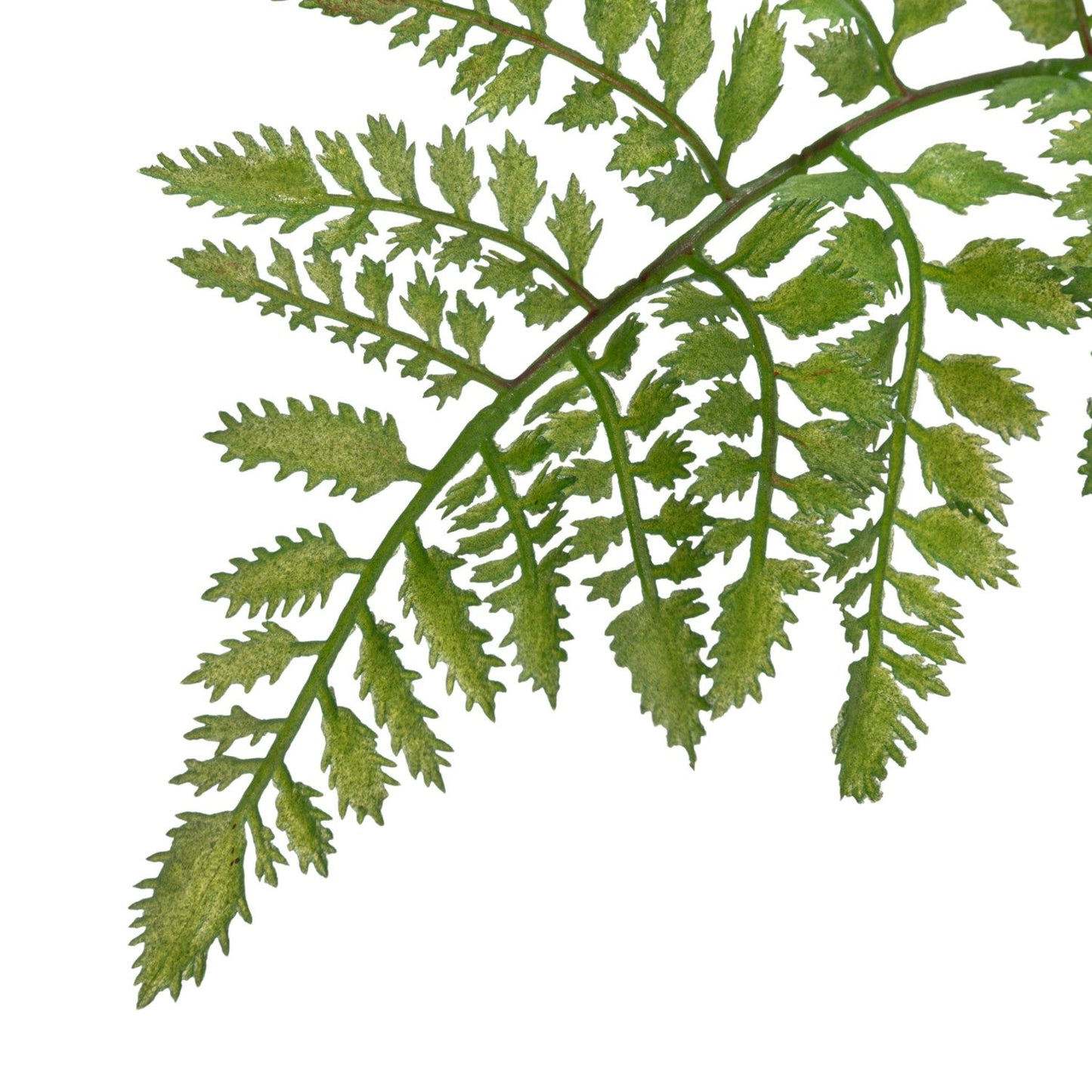 4ft Tall Pteris Fern in Pot - Faux