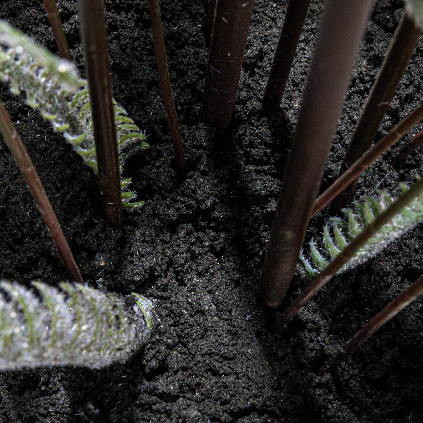 4ft Tall Pteris Fern in Pot - Faux